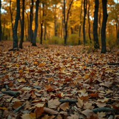 Earthy tones and golden hues of fallen leaves on a forest floor at dusk, fall, foliage, earthy