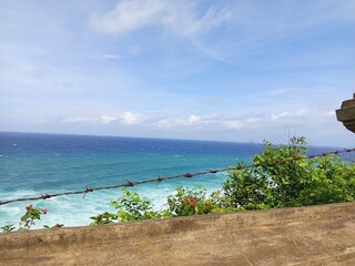 tropical beach with palm trees