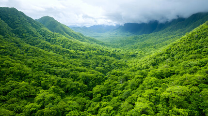 Fototapeta premium Lush green mountain valley landscape, aerial view, cloudy sky, nature background, travel poster