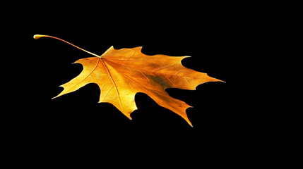 Naklejka premium Golden Maple Leaf on Black Background
