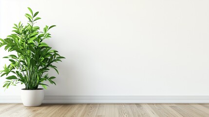 White wall with potted plant. White mockup of wall. A wooden floor with a plant in it. A potted plant against a white lifestyle wall.