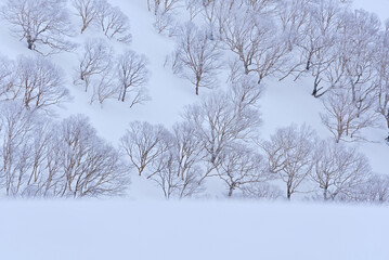 雪山模様
