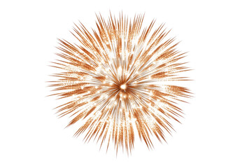 Visualization of fireworks.