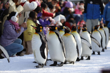 Penguin walk