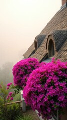 Naklejka premium Pink flower-covered thatched roof roofline with misty morning fog, atmosphere, landscape, scenery