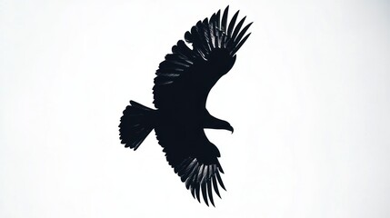 Naklejka premium Eagle soaring, sky, freedom, wildlife, nature, background, graphic design