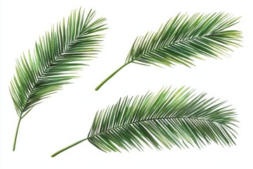 Obraz premium Tropical Botanicals: Watercolor Collection of Isolated Green Leaves and Palm Elements on Pure White