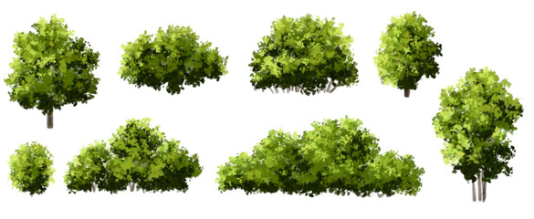 Obraz premium Vertor set of green tree,plants side view for landscape elevations,element for backdrop,eco environment concept design,watercolor greenery scene,shrub