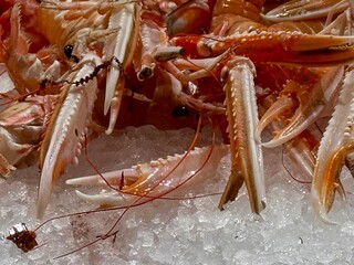 lobster on ice