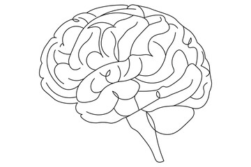 Human brain Continuous one line drawing of line art with psychology idea and vector illustration design



