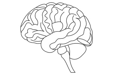 Human brain Continuous one line drawing of line art with psychology idea and vector illustration design




