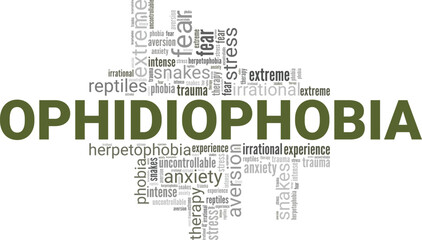 Ophidiophobia: Fear of Snakes word cloud conceptual design isolated on white background.