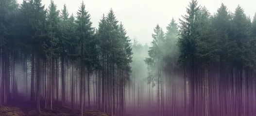 Gardinen Misty landscape with mountains and dark moody fir forest in hipster vintage retro style © Roxana
