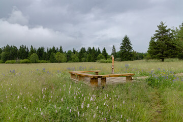 National natural monument Upolinova louka pod Krizky, Western Bohemia, Czech Republic