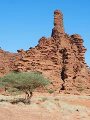 Fototapete Rund A small tree clings to life in the arid landscape of Saudi Arabia, with a massive rock formation towering in the background. The scene showcases resilience and the stark beauty of the desert. © max