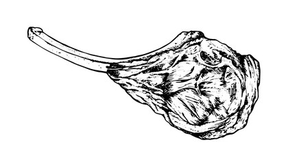 Vector illustration of a meat steak in black and white. Hand drawn sketch of healthy food. Ribeye with a white isolated background. Sirloin or pork lamb chop for barbecue and culinary designs