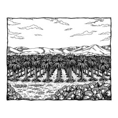 Panorama of Oil Palm Field with Mountain View Black and White Outline Line Art Drawing