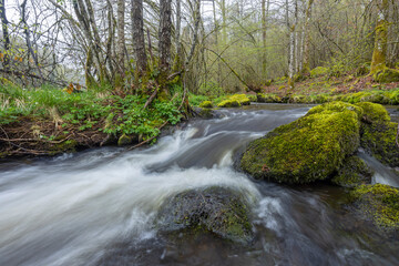 Plateau des Grilloux, Thousand Ponds Plateau (Plateau des Mille etangs), Haute Saone, Bourgogne-Franche-Comte, France