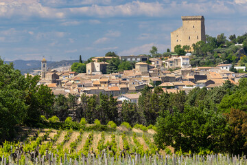 Obraz premium Typical vineyard with stones near Chateauneuf-du-Pape, Cotes du Rhone, France