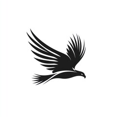 Majestic hawk in flight, isolated on white.  Logo design, wildlife illustration