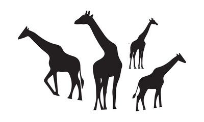 giraffe silhouette vector illustration