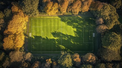Drone, aerial of a local football pitch in the UK. Shadows coming off the trees.