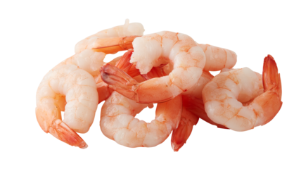 fresh shrimp cut out isolated transparent background