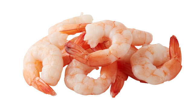 fresh shrimp cut out isolated transparent background