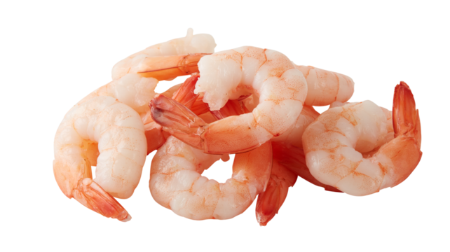 fresh shrimp cut out isolated transparent background