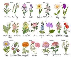 Set of Birth month flowers colored line art vector illustrations. Carnation, iris, daffodil, daisy, lily of the valley, violet, gladiolus, aster, marigold drawings for tattoo, logo, wall art.