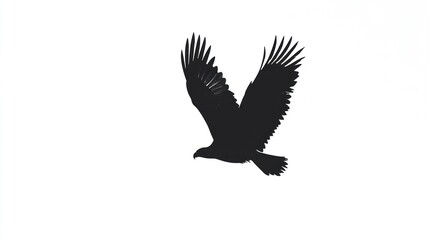 Fototapeta premium Eagle soaring, wings spread, white background, freedom concept
