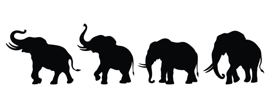 Elephant on white background. Collection of elephant silhouettes in various forms. Side view and full body of elephant for design. Vector illustration.