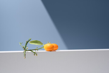 Kumquats naranjas chinas pequeñas sobre un soporte blanco y fondo azul