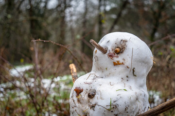 portrait of a melting snowman