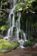 Fototapeta premium 小さな滝