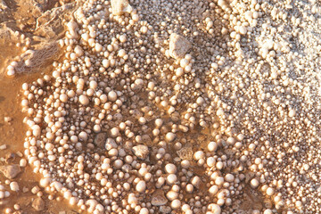 Minerals deposited around the hot springs of the Tatio geyser field in the Atacama Desert in northern Chile