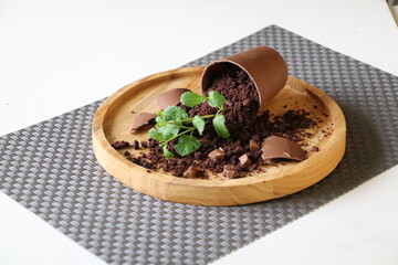dessert broken chocolate pot with edible soil