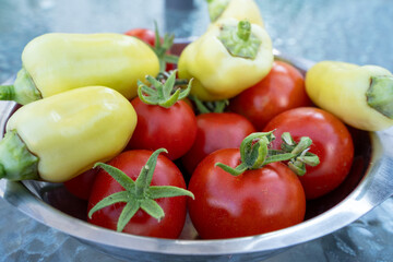 Harvested garden tomatoes and peppers