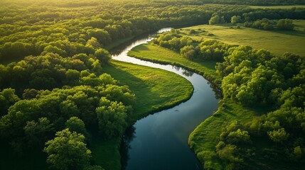 Aerial view of the winding river in a spring meadow at sunrise, with lush greenery and trees on both banks, creating an idyllic countryside landscape
