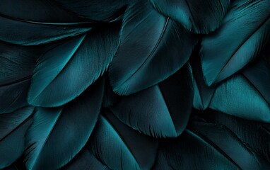 Luxury dark teal bird feathers close up with elegant natural texture and soft silky details for high end backgrounds and modern decorative design