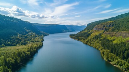 Naklejka premium A wide river in the Pacific Northwest wilderness, with rapids and rocky banks, surrounded by lush green forests under a blue sky