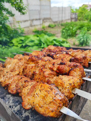 shashlik on the grill in summer, close-up