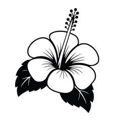 Hibiscus Flower Silhouette Vector for Design