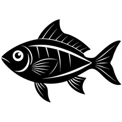 fish on a white background