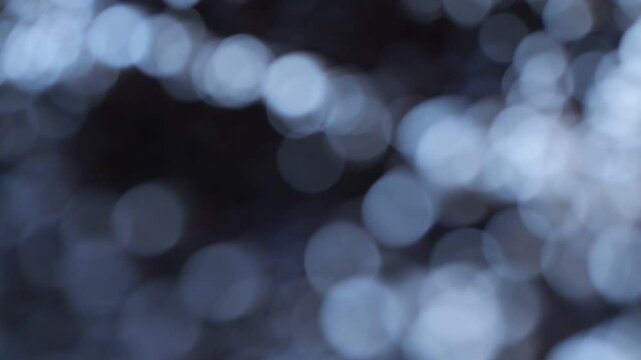 The image is a blurry blue and white photo of a forest. The blurring effect gives the photo a dreamy, ethereal quality, as if the viewer is looking through a foggy window or a hazy memory