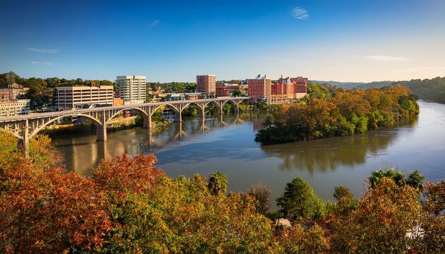 scenic albany ga view overlooking the serene flint river