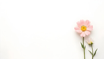 Fototapeta premium 꽃배경