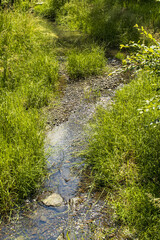 A small stream flowing through a grassy landscape. A small stream captured from the top view. Nature, stream, summer, season.