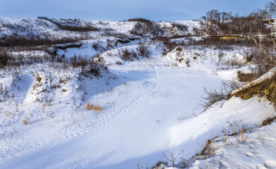 Obraz premium Animal tracks on a frozen Beaver Creek near Saskatoon, Canada