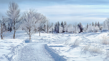 Obraz premium Blinding white winter scenery in an urban park/